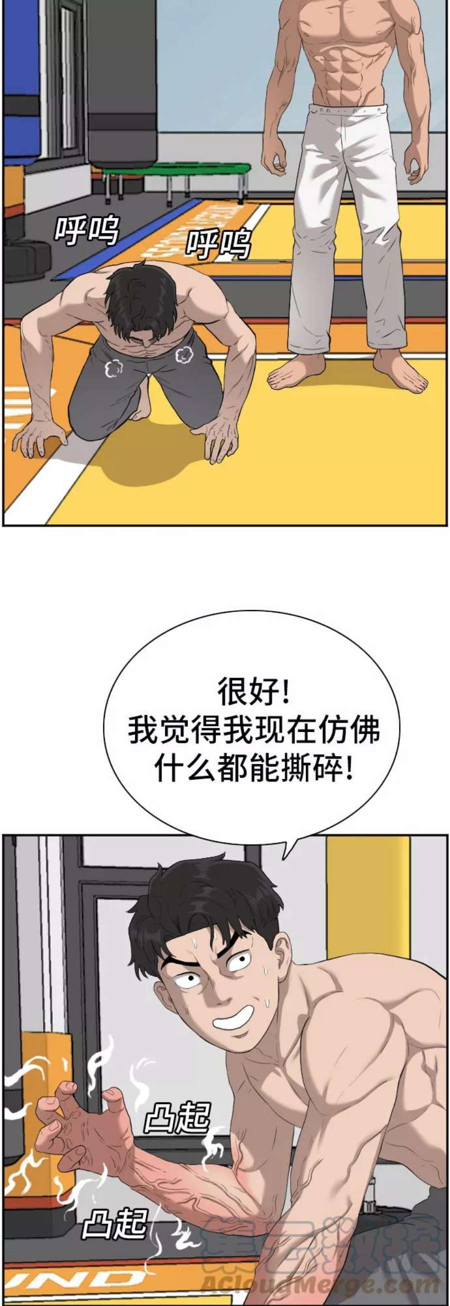 49.jpg