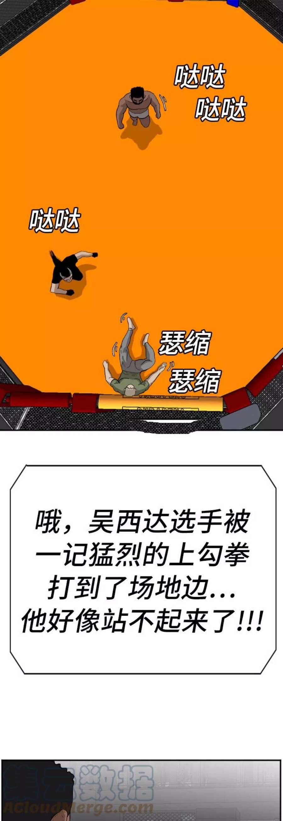49.jpg