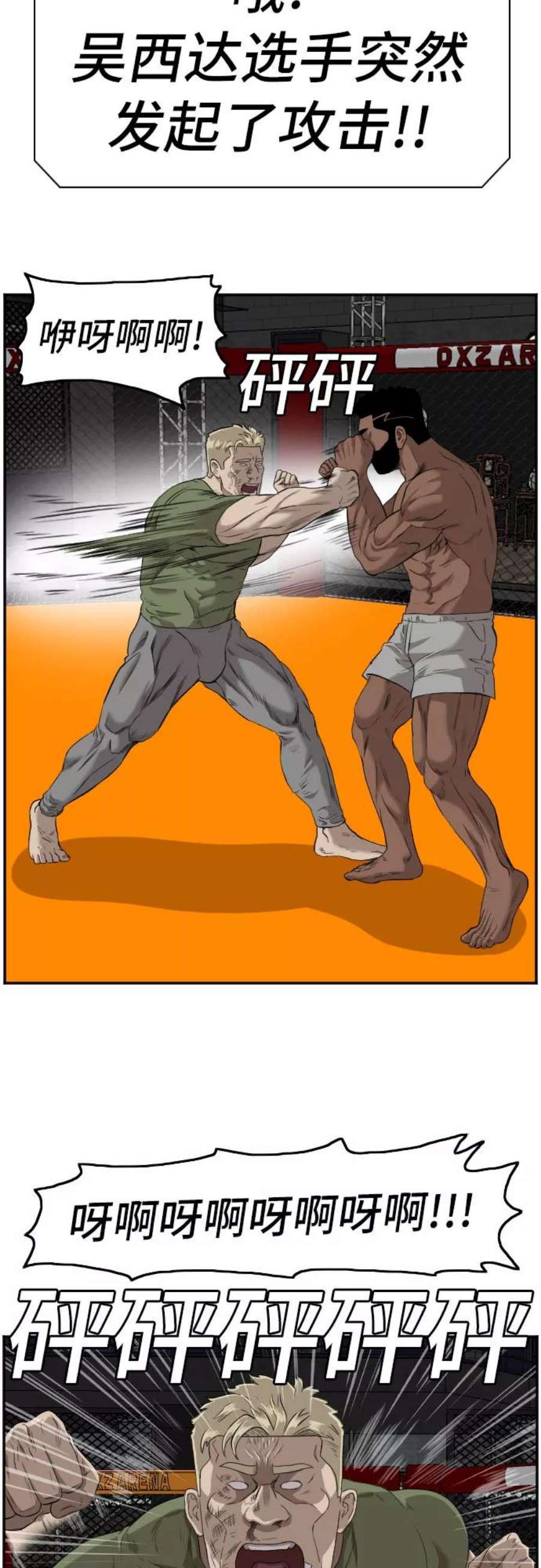 39.jpg