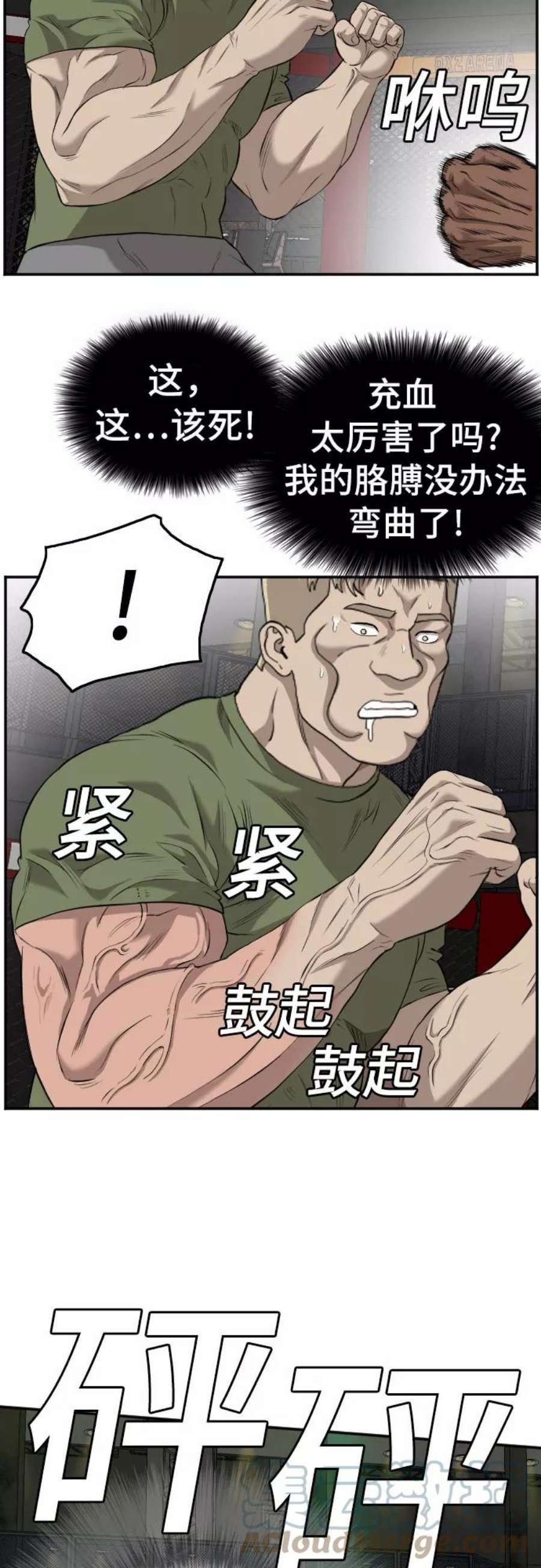 31.jpg