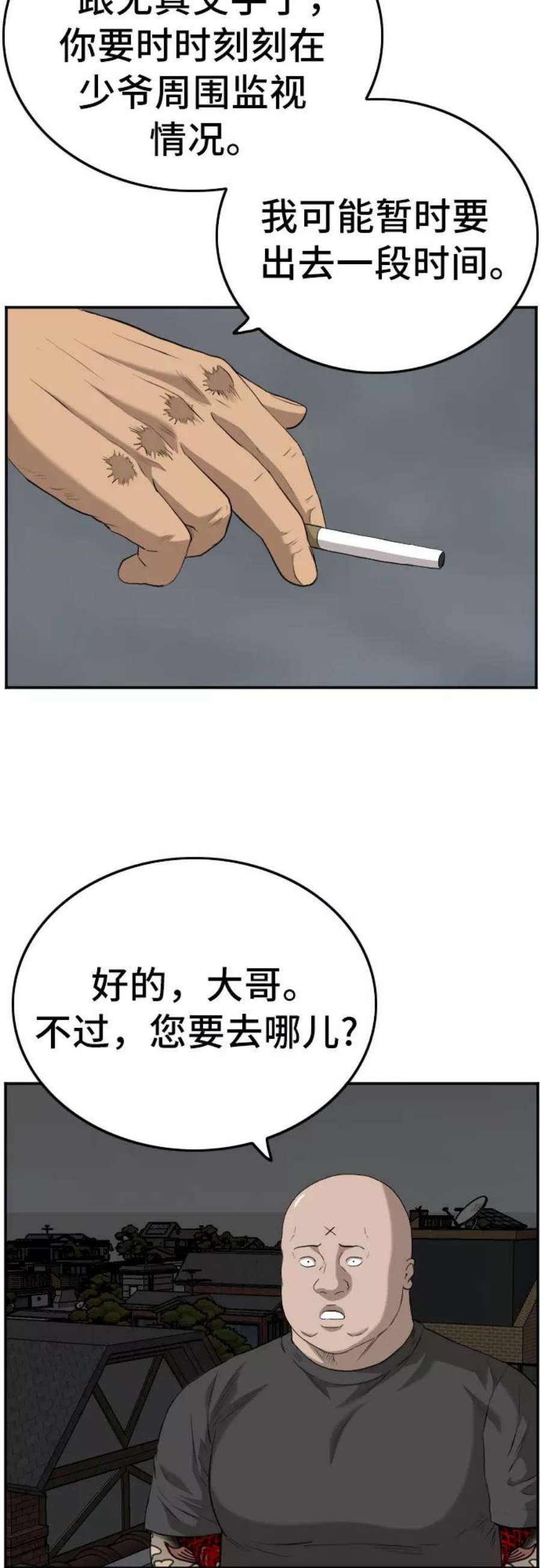 21.jpg