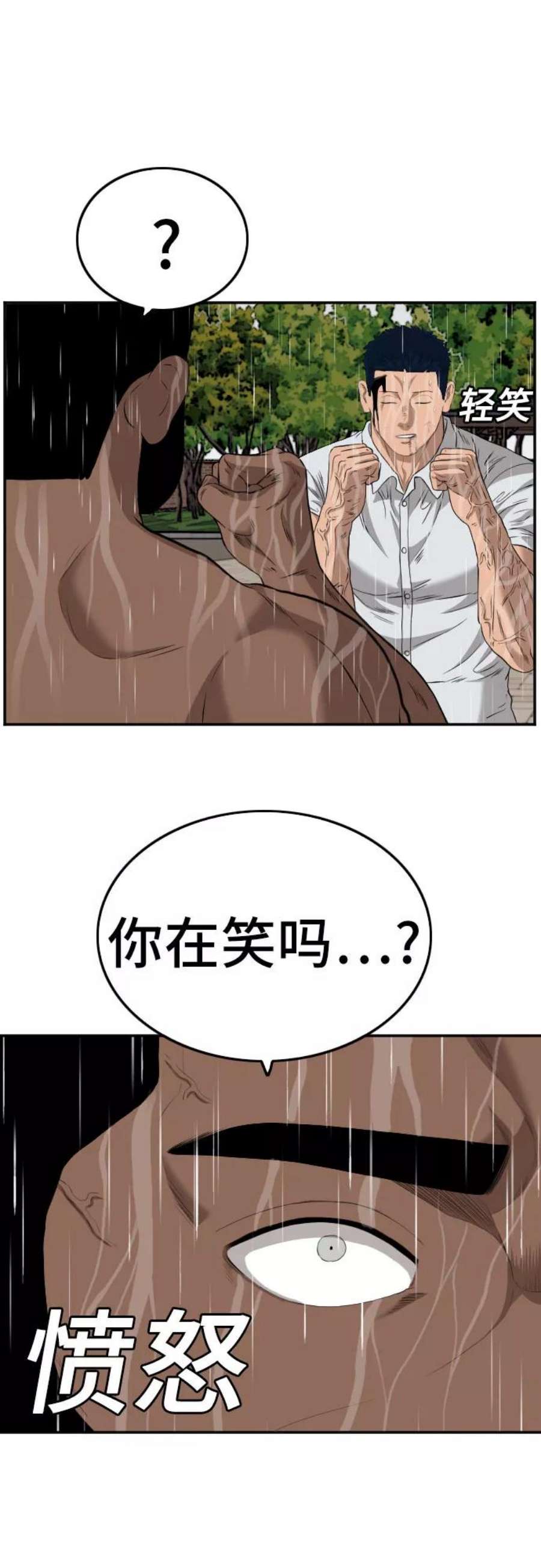 41.jpg