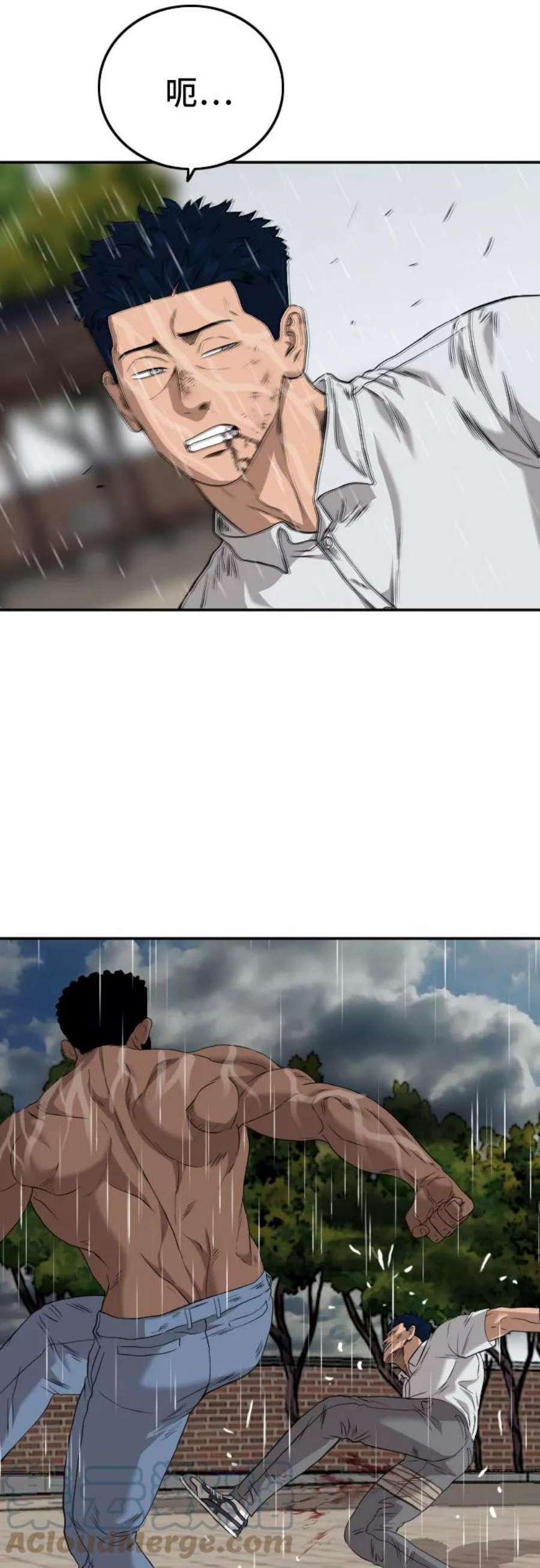 61.jpg