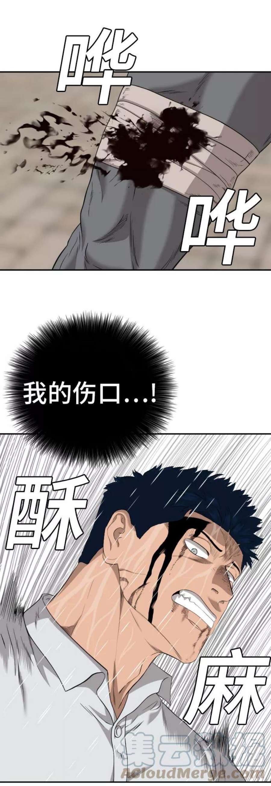 49.jpg
