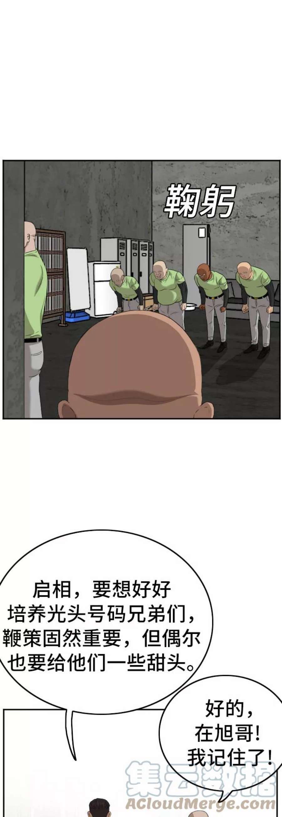 16.jpg