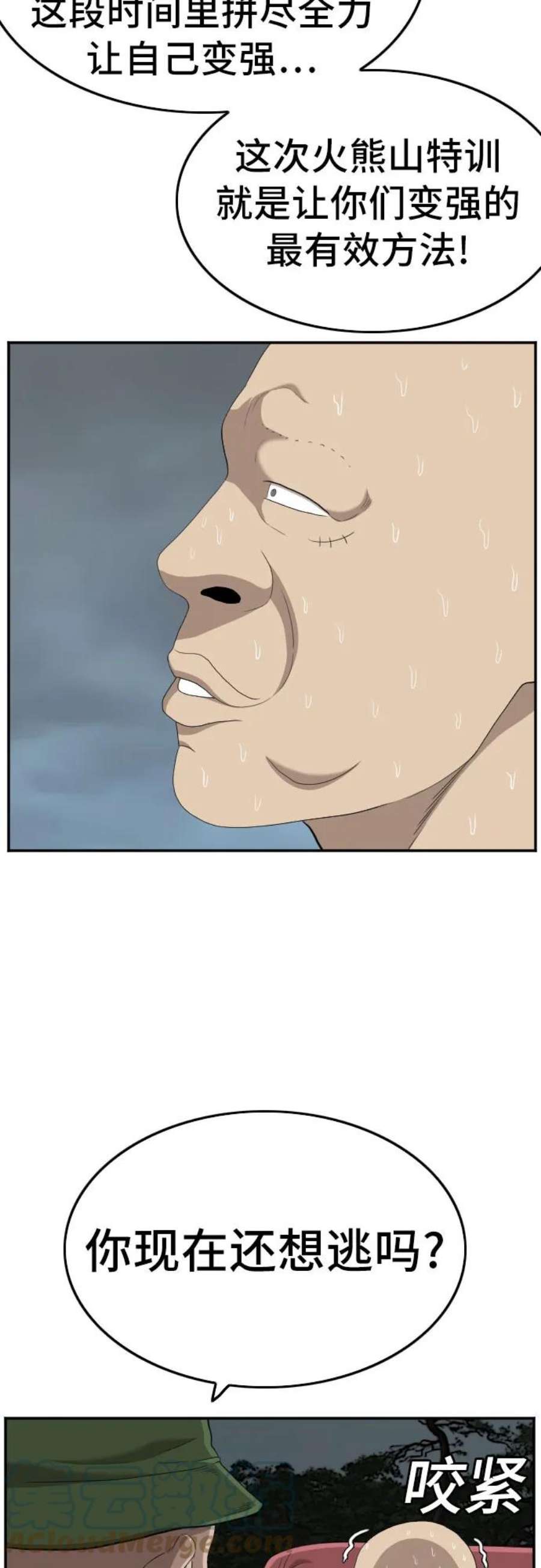 46.jpg