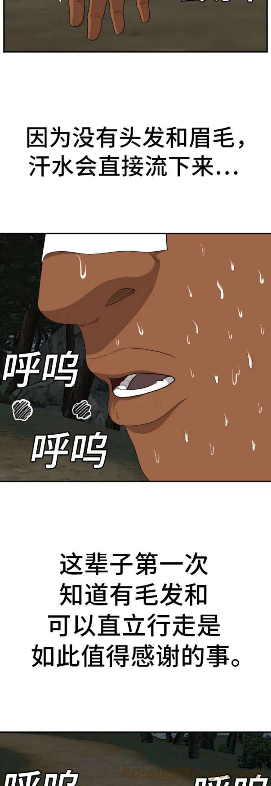 52.jpg