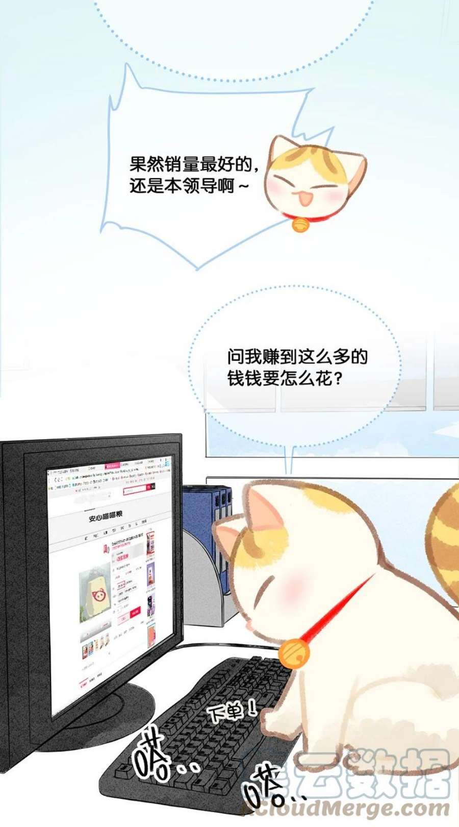 13.jpg