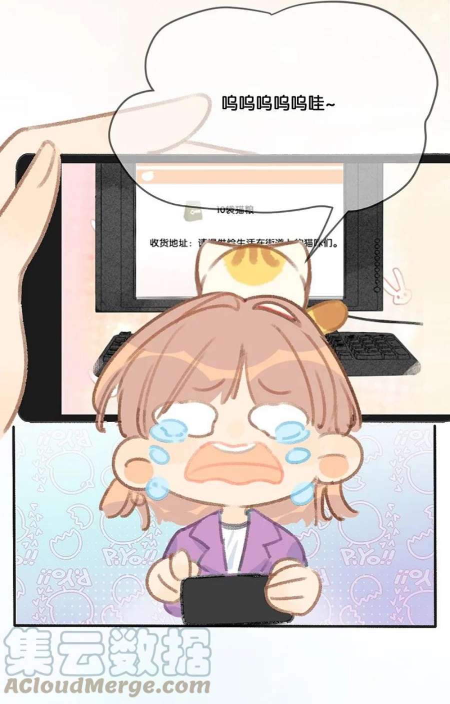 15.jpg