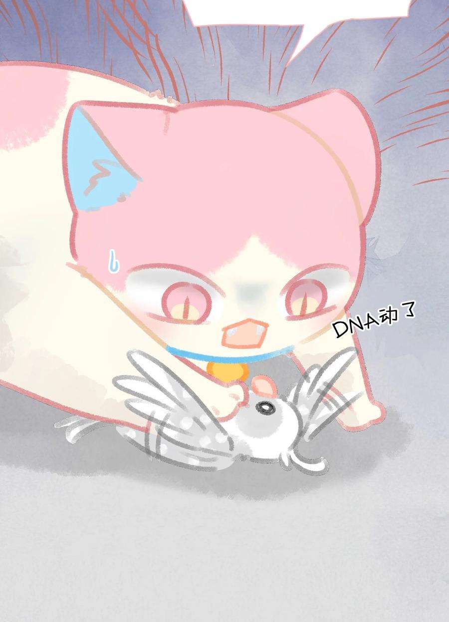 22.jpg