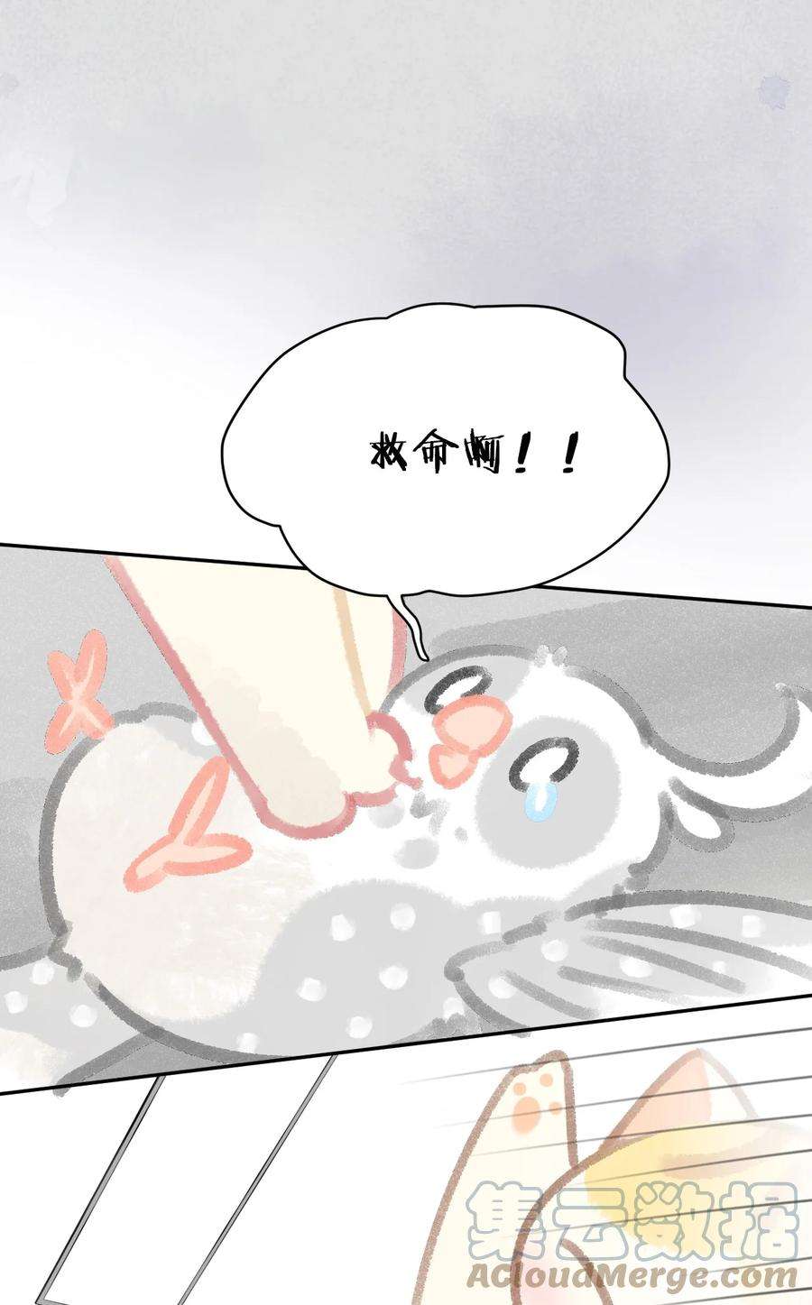 23.jpg