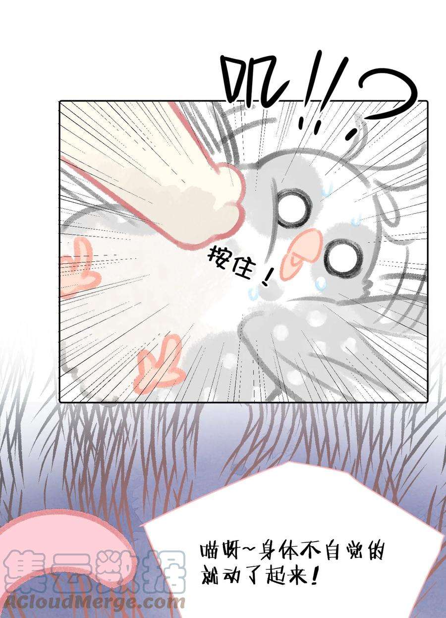 21.jpg