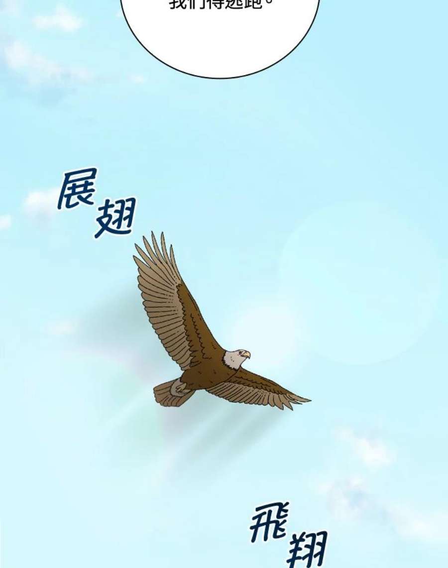 91.jpg