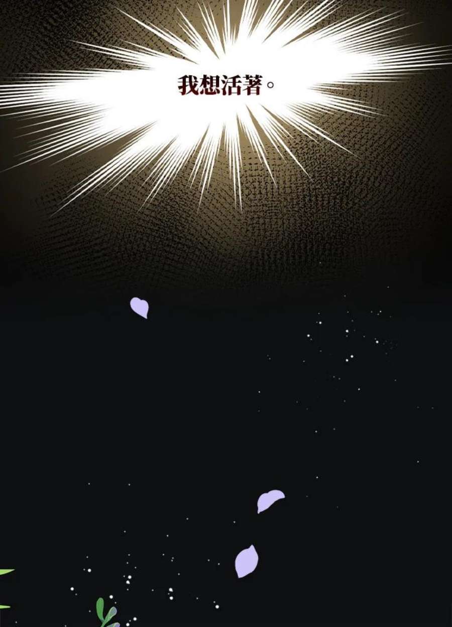 62.jpg
