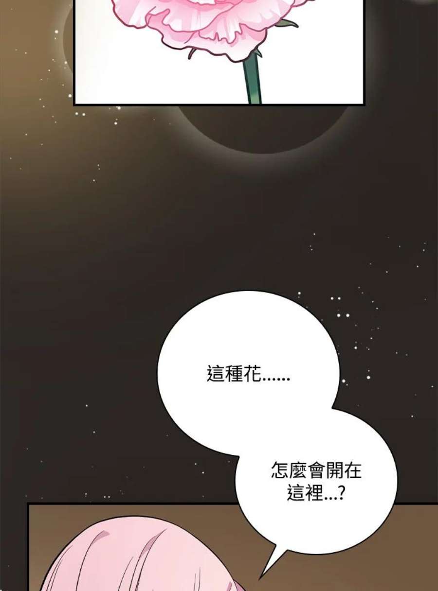 96.jpg