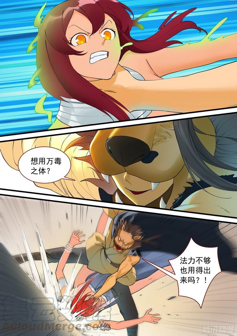 11.jpg