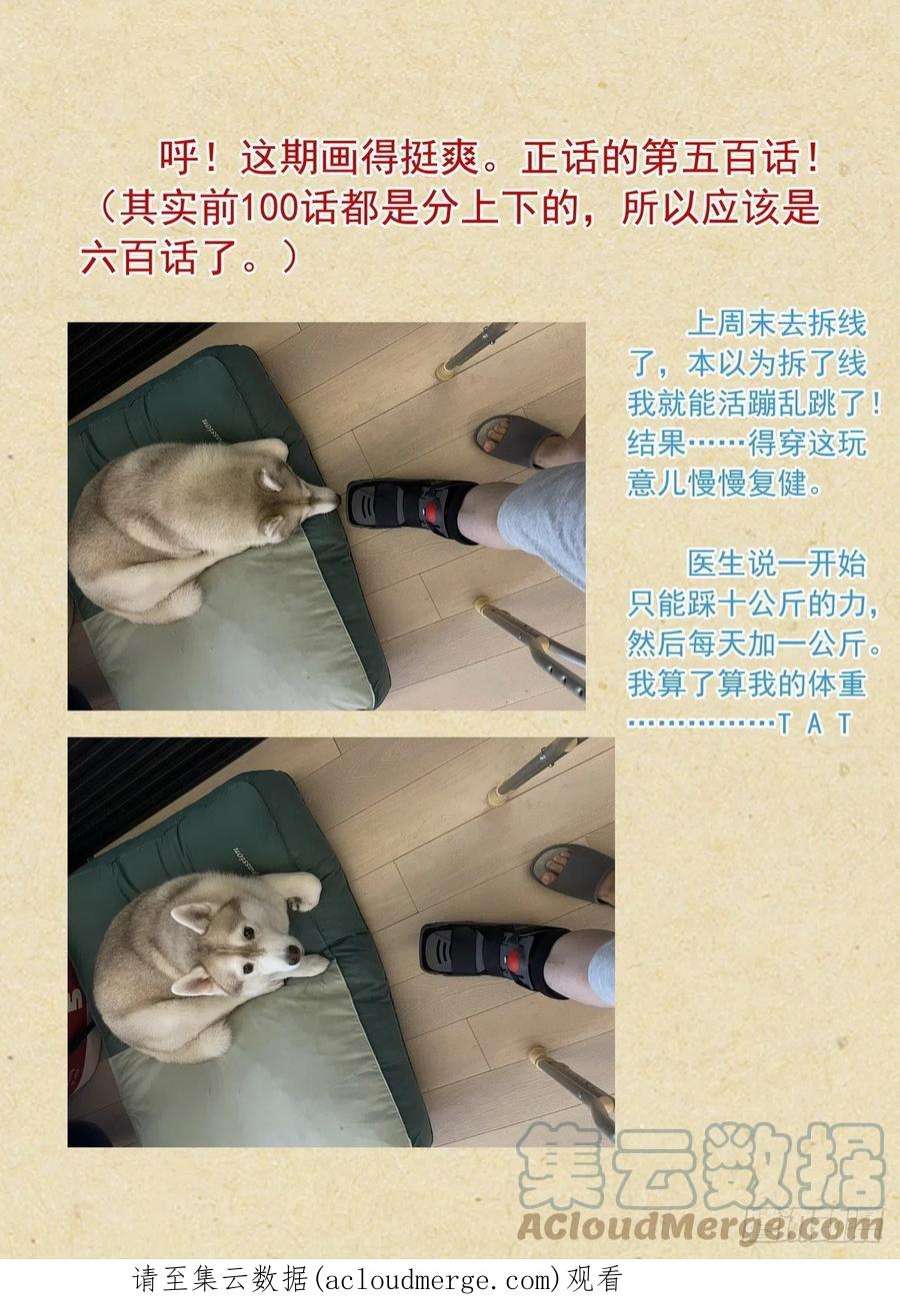 17.jpg