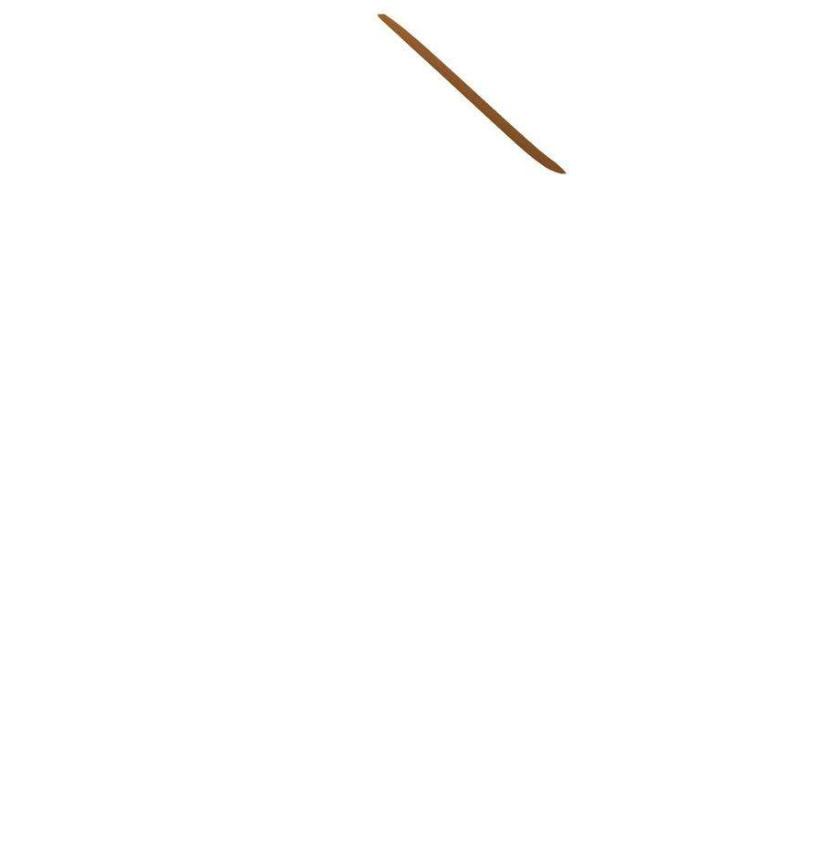 50.jpg