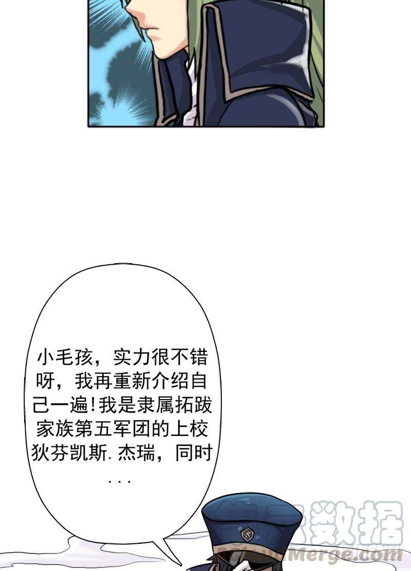 31.jpg