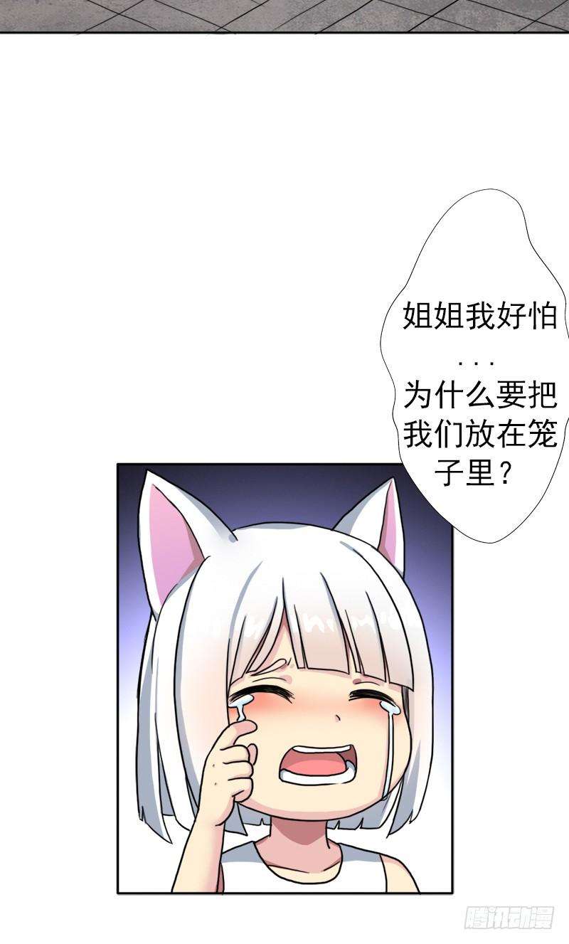 58.jpg