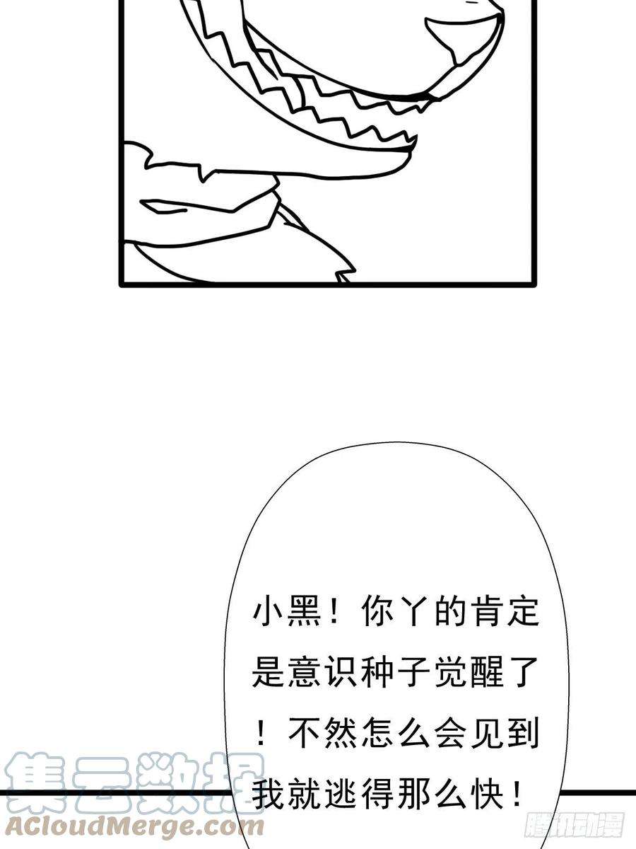 55.jpg