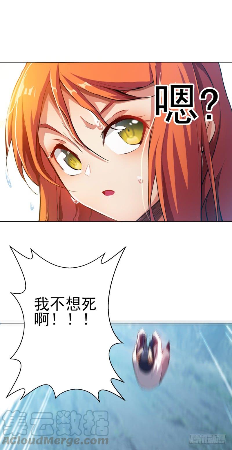 29.jpg