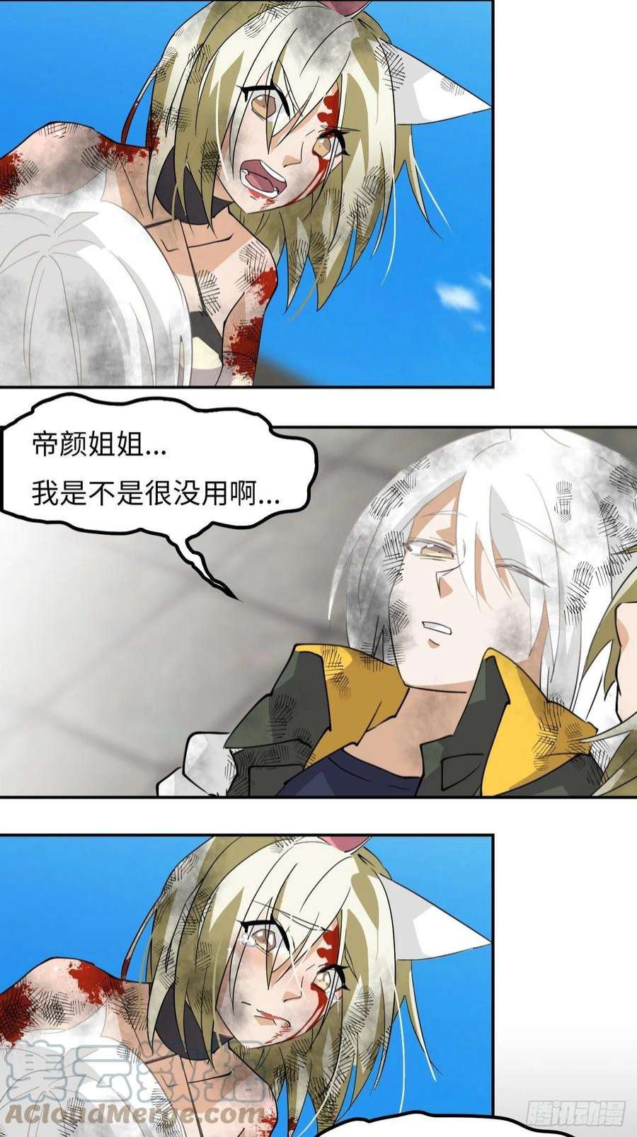 13.jpg