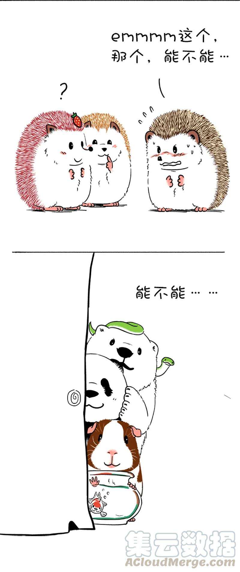 5.jpg