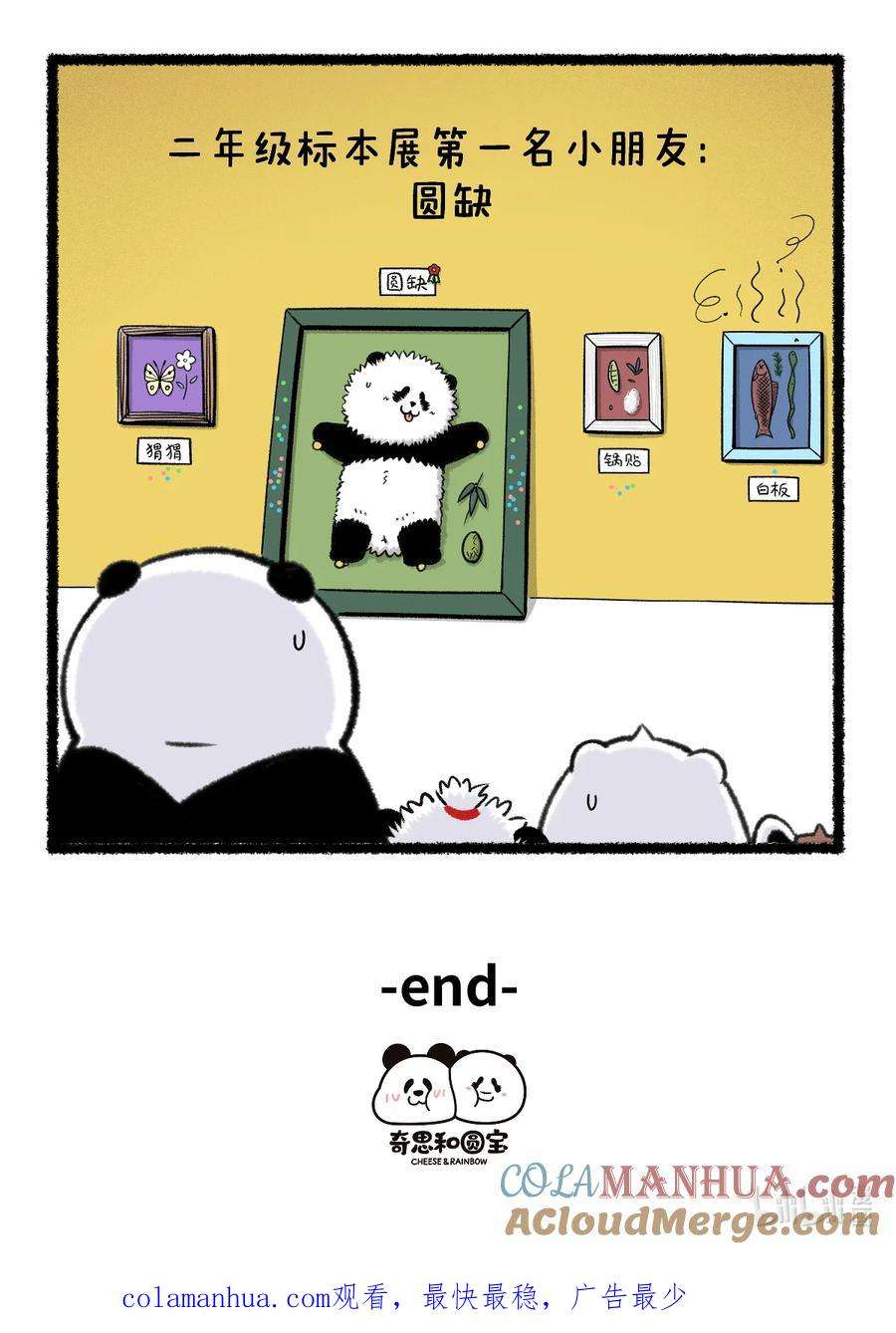 5.jpg