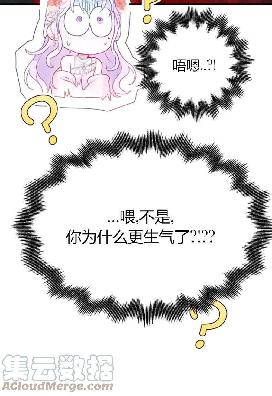 113.jpg