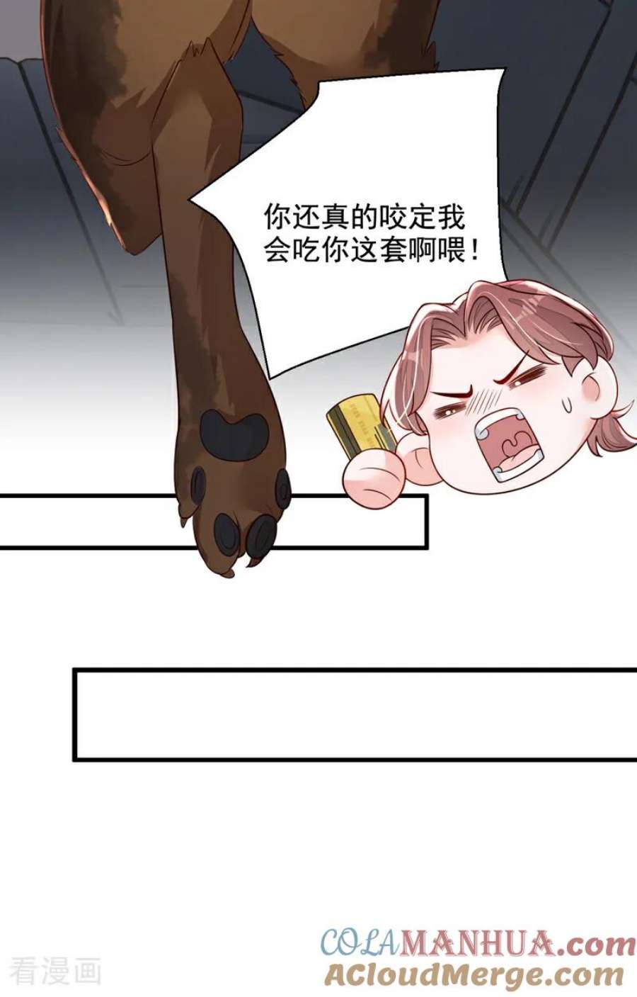 19.jpg
