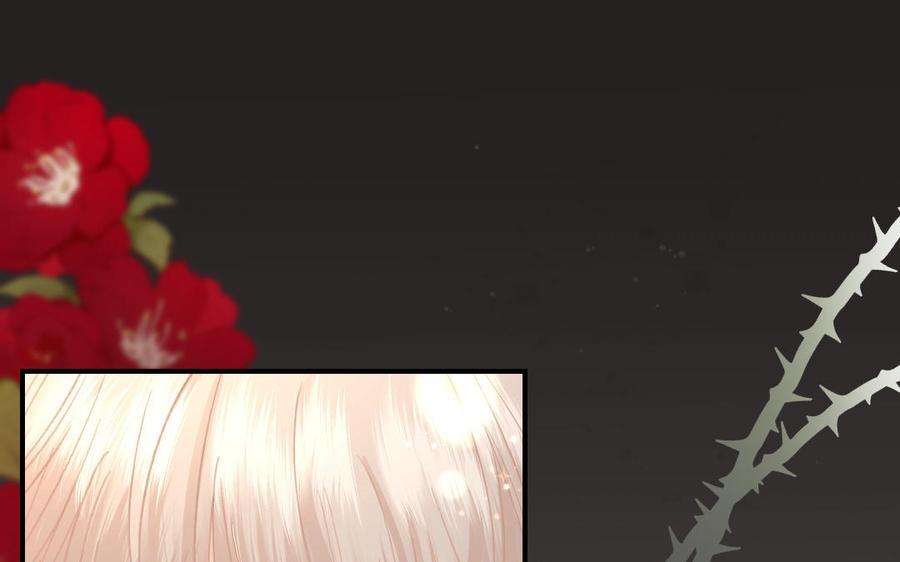 84.jpg
