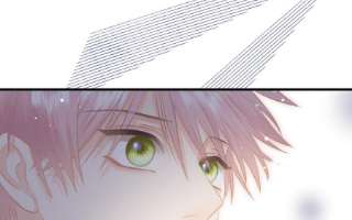 100.jpg