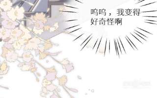 106.jpg
