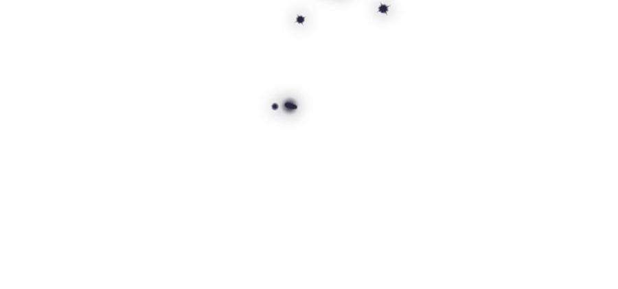 174.jpg