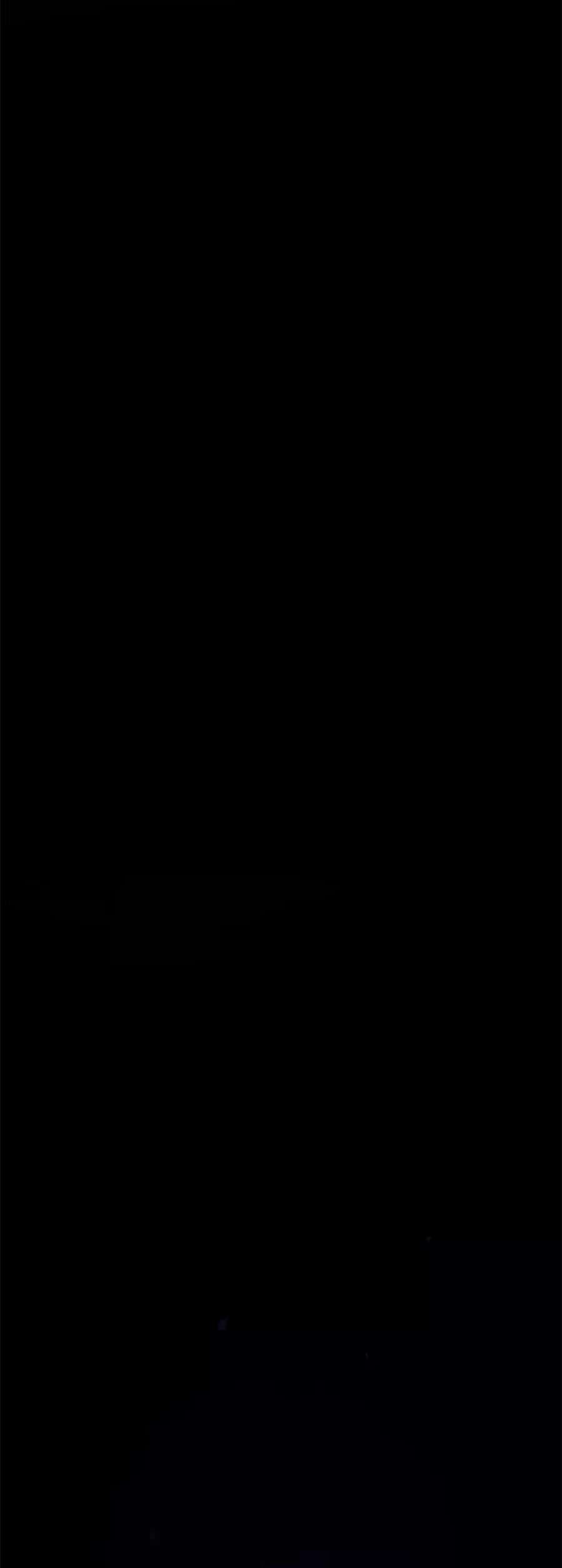 65.jpg