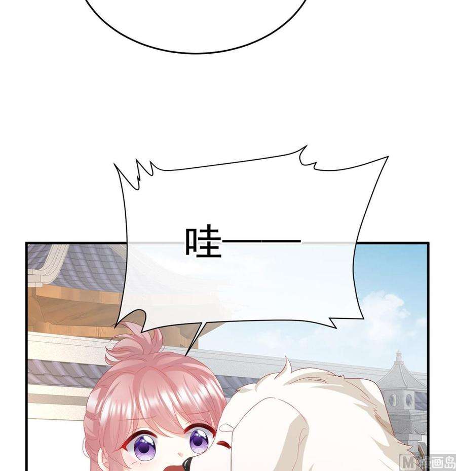 48.jpg