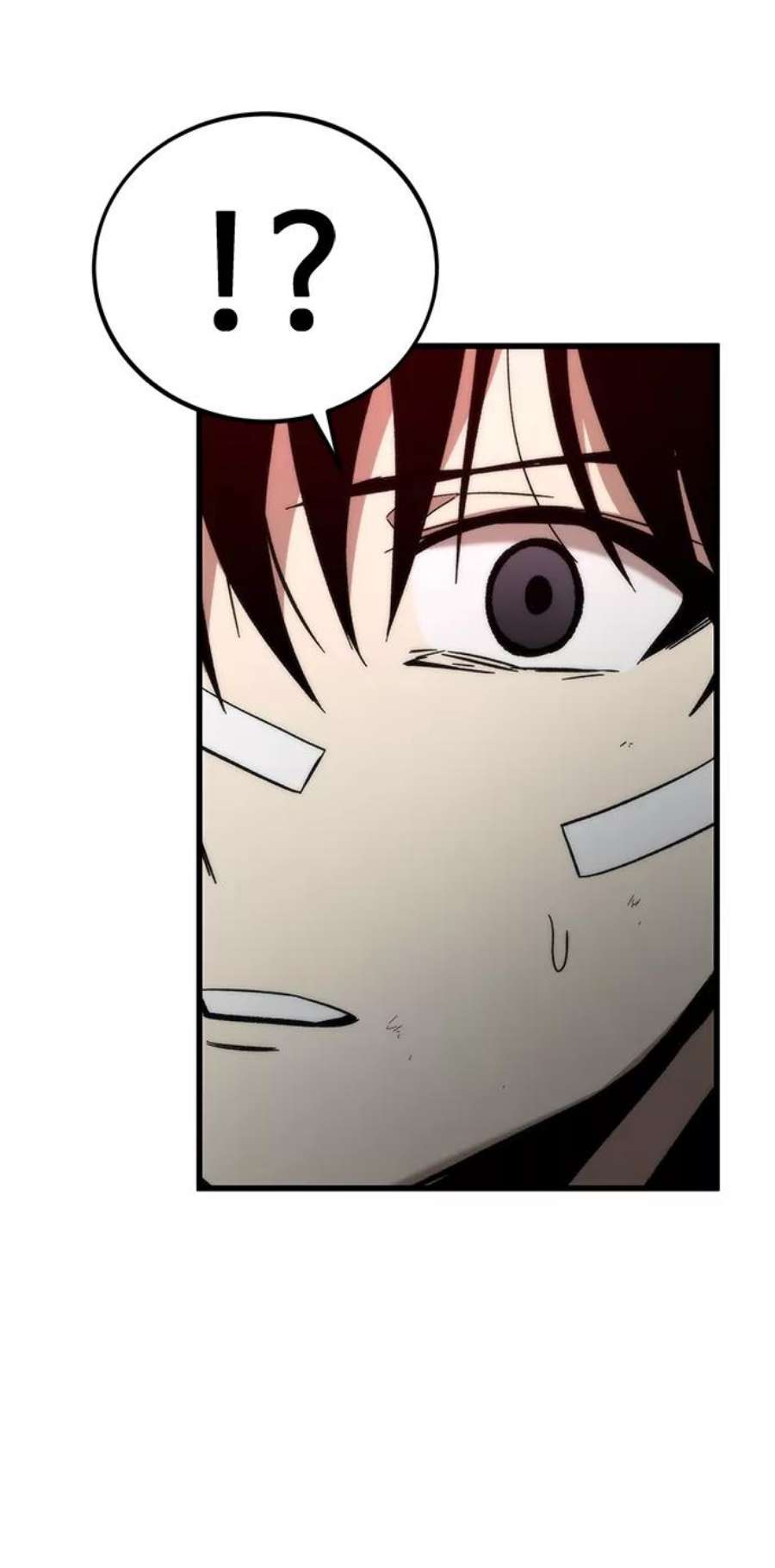 44.jpg