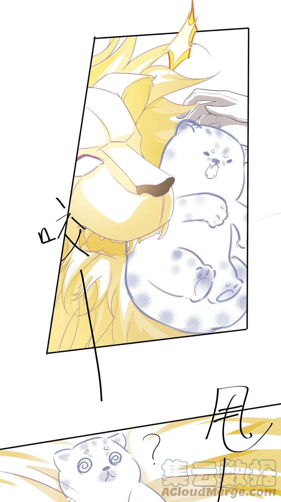 31.jpg