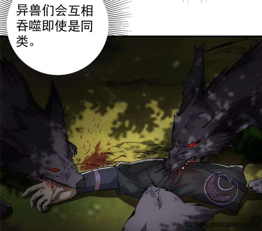 47.jpg