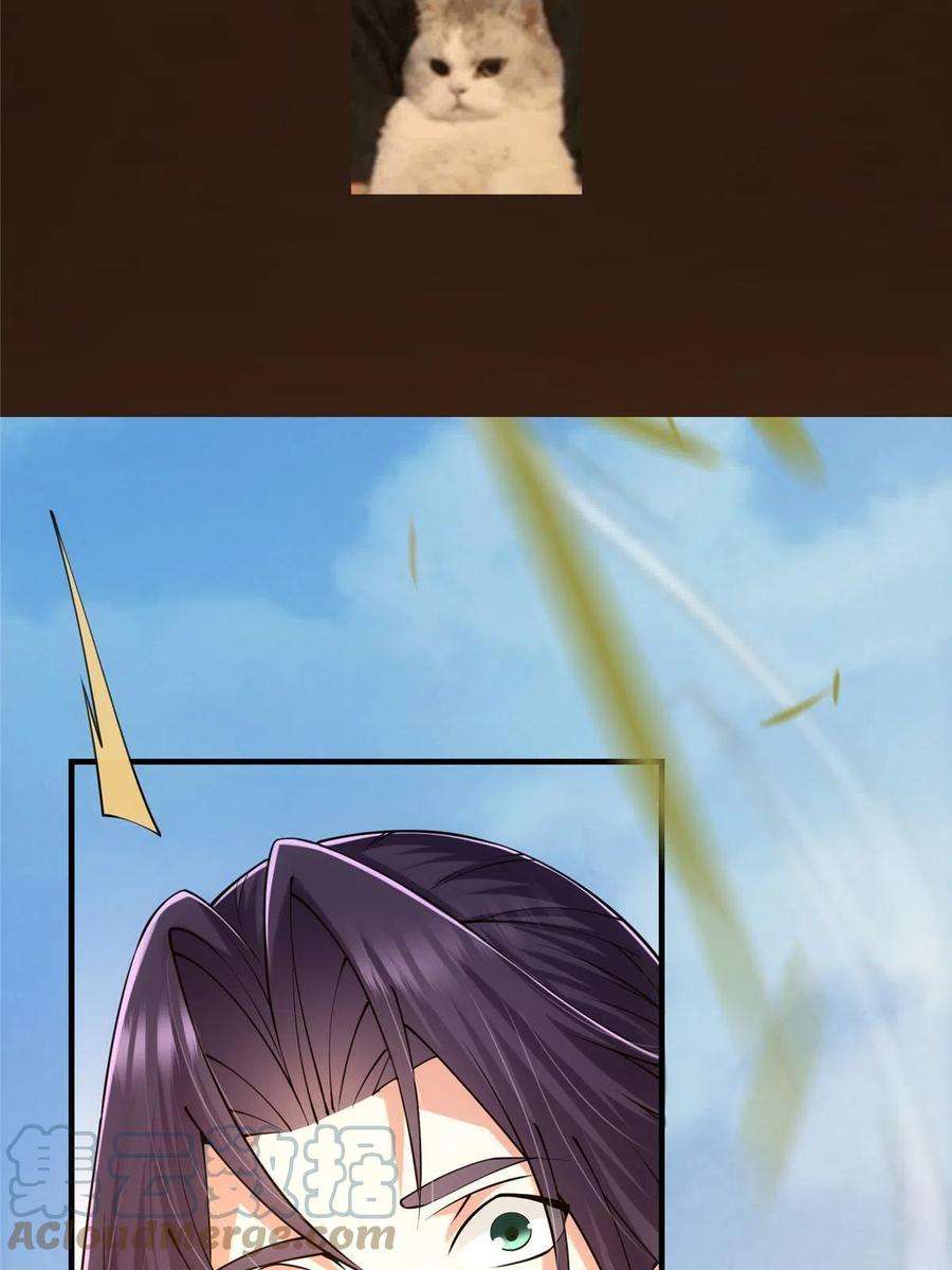 73.jpg