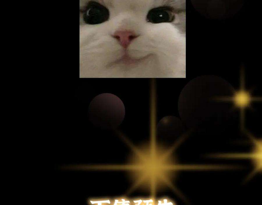 123.jpg