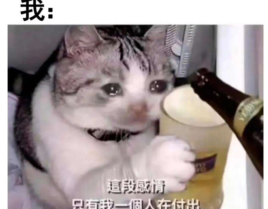 106.jpg