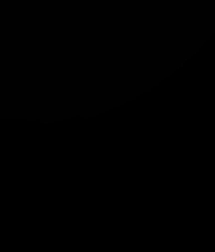 65.jpg