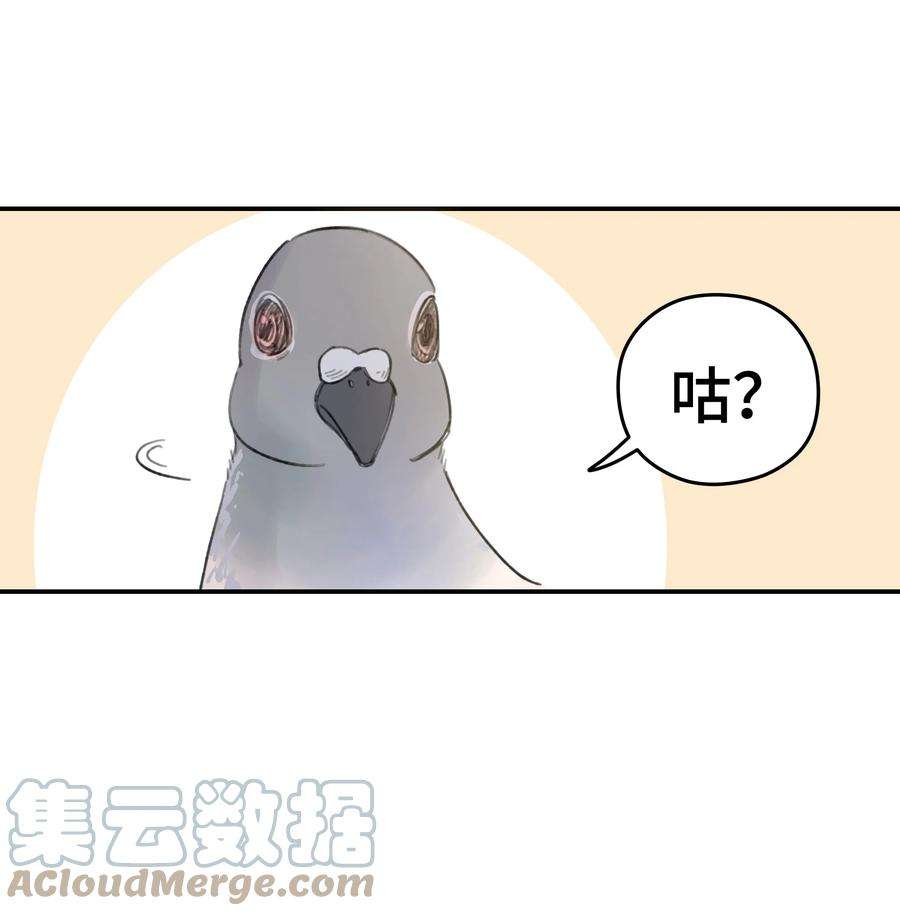 40.jpg