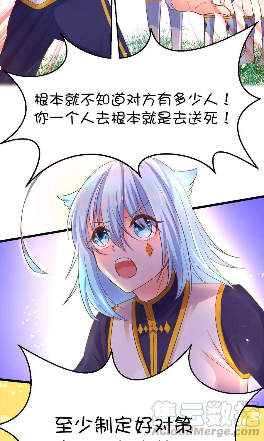 15.jpg