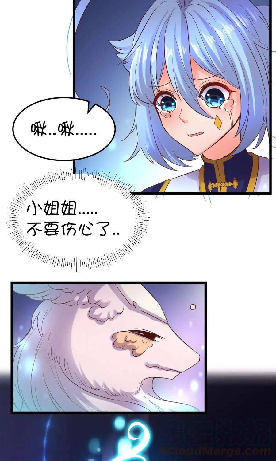 15.jpg