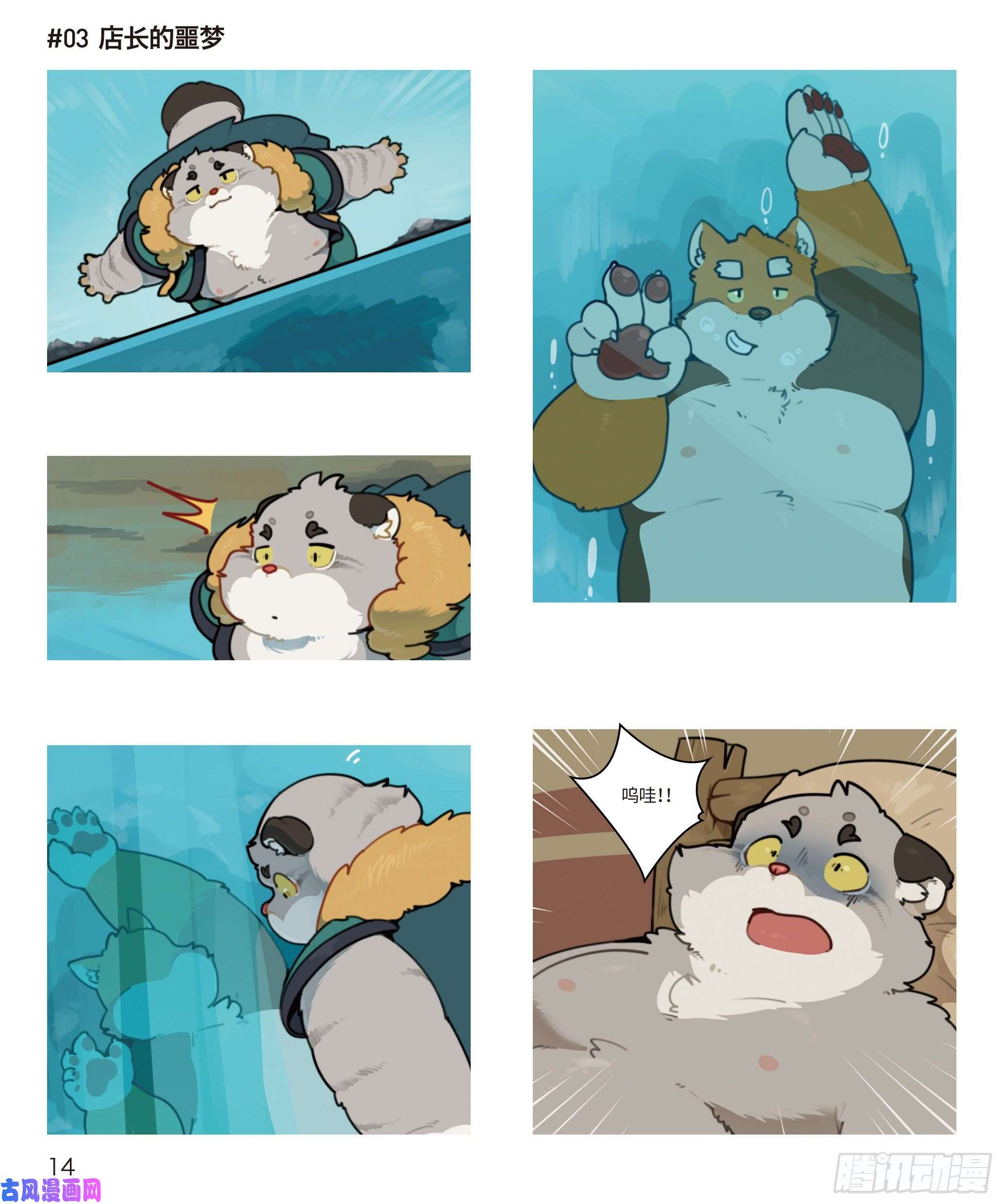 1.jpg