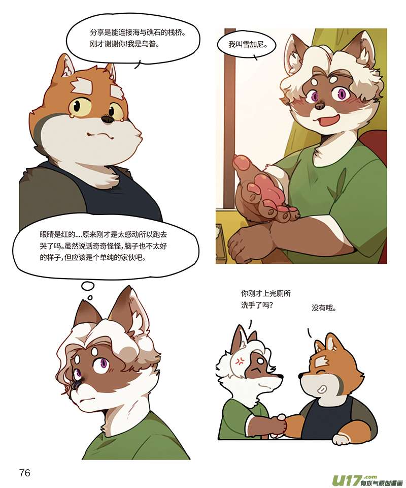 5.jpg