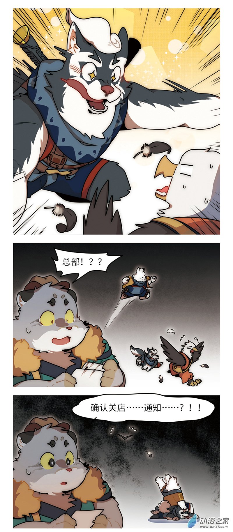 11.jpg